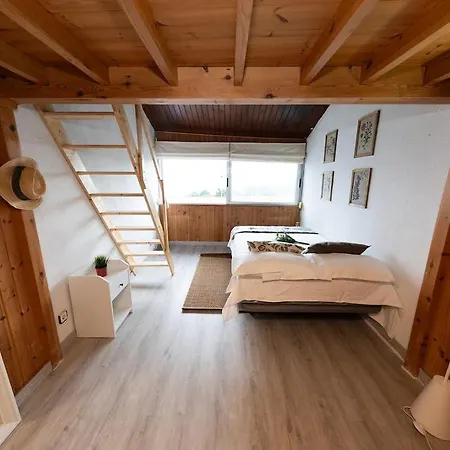 公寓 El Mirador 拉雷多