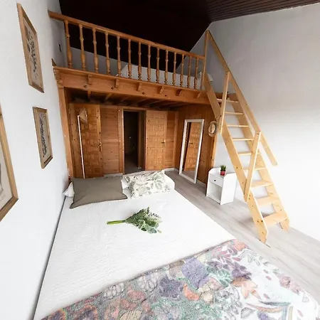 El Mirador 公寓 拉雷多